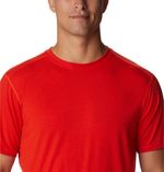 2031691_ELK_2