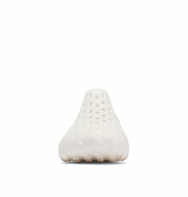 2063451_IX1